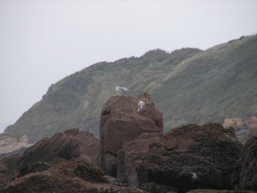 normandie08-10