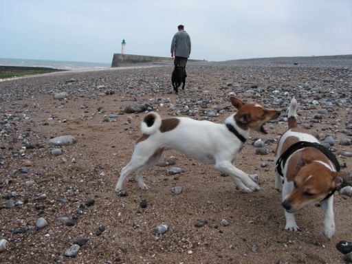 normandie08-25