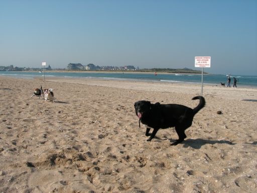 normandie08-50
